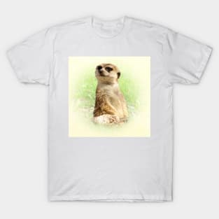 Meerkat T-Shirt